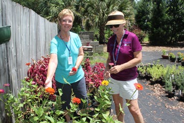 Tending Saturday’s plant sale were Master Gardener Jaci Zwierzchowski (right) and Suzanne Spencer, an intern in the Master Gardener class. Here they show off the remaining zinnias at the sale.