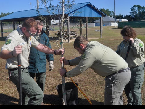 Officials with the Santa Rosa County South Florida Forest Service plant a live oak tree at the Santa Rosa County Sports Plex on Friday in celebration of FloridaÂ’s Arbor Day. The forestry service donated a total of eight trees to the Pace facility. From the left are Jeremy Park, Marty Early Ian Stone and RenÃ  Barnes.