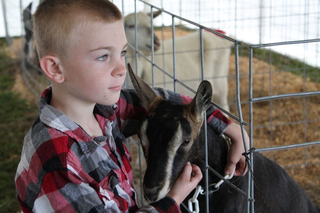 With the rapid growth of youth interest in livestock, the fair changed its name to Santa Rosa County Fair and Youth Livestock Show.