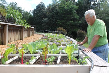 Ray Davis explains the square foot gardening technique whereby an individual can grow a variety of plants in a small, manageable box.