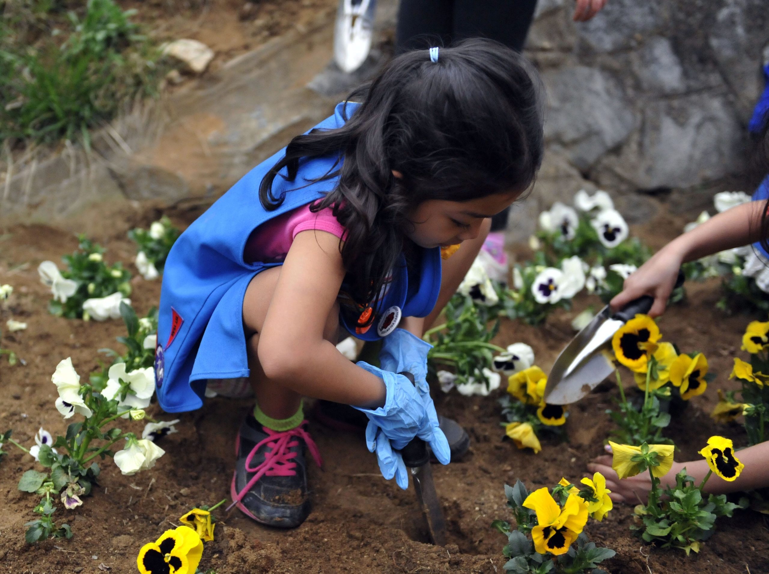 Planting flowers for beginners Santa Rosa Press Gazette
