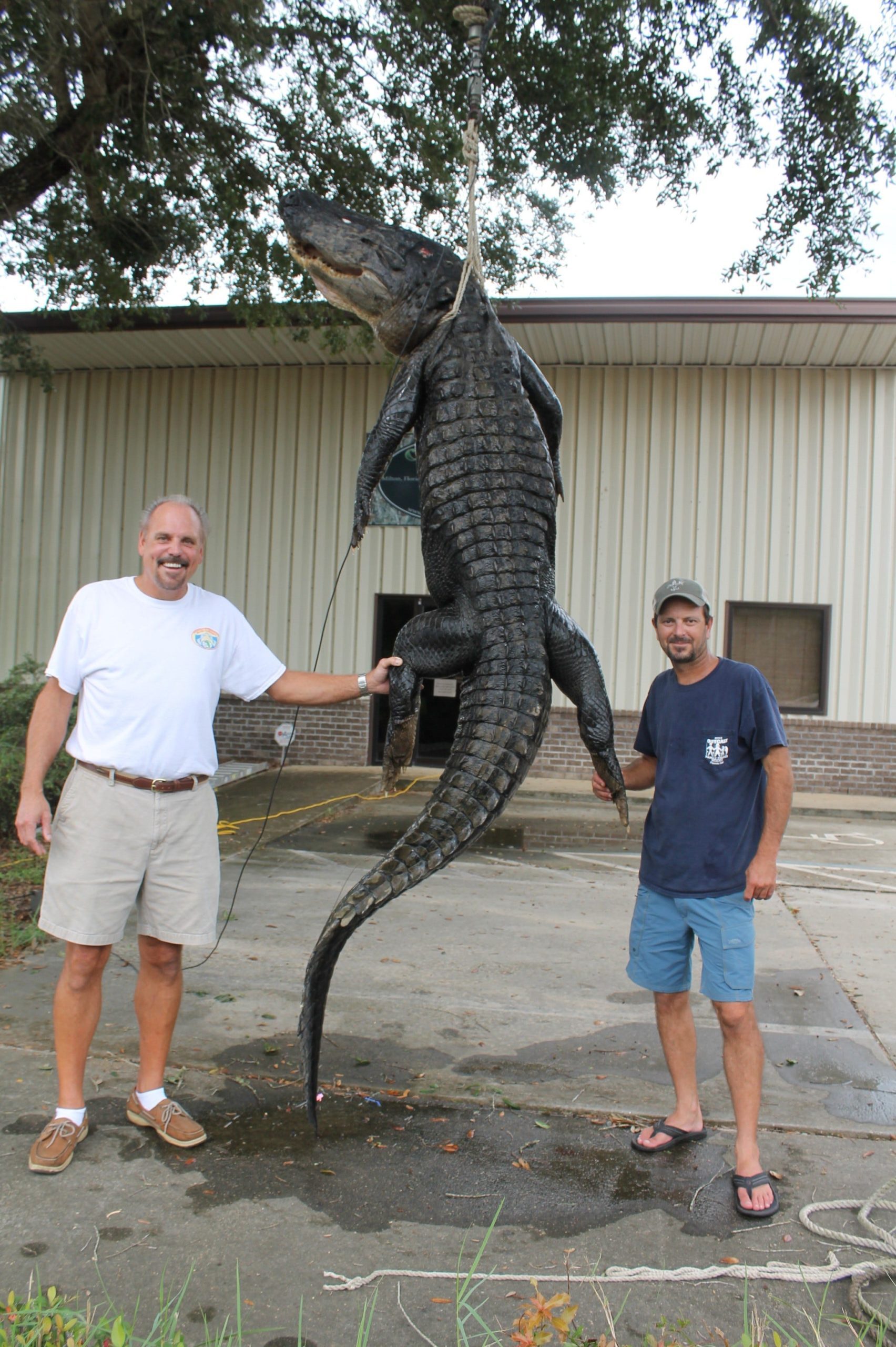 Local hunters tell a gator tale Santa Rosa Press Gazette