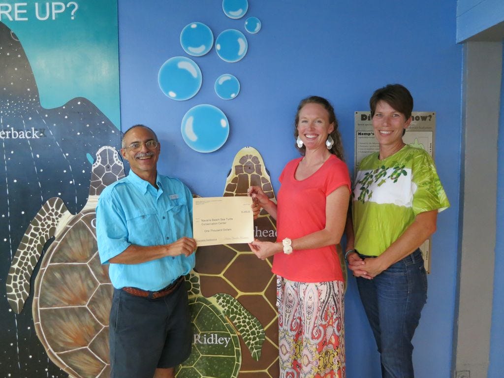 Sea turtle conservation gets chamber’s support | Santa Rosa Press Gazette