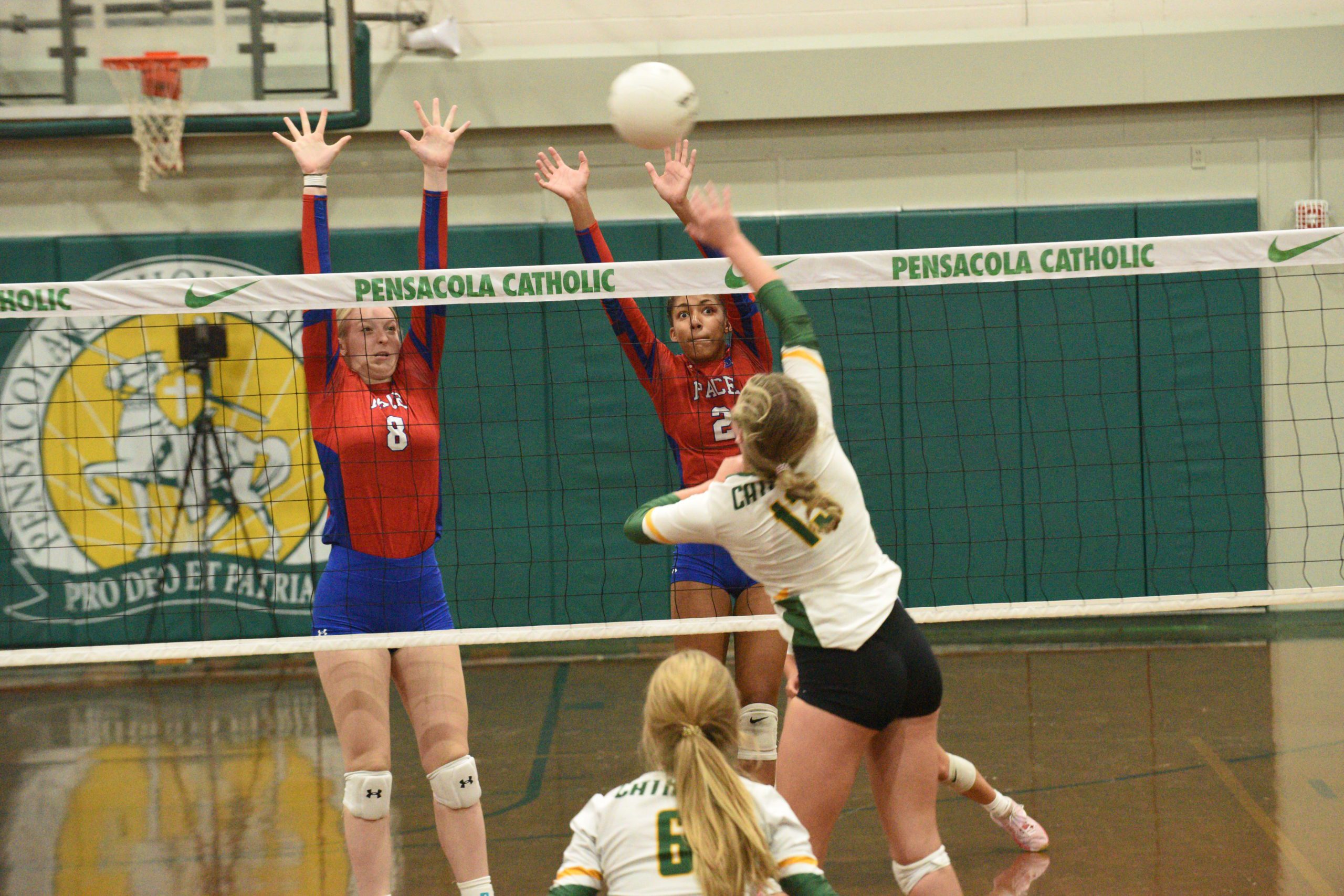 a-look-at-area-regional-volleyball-rankings-santa-rosa-press-gazette