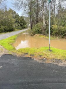 Mulat Bayou