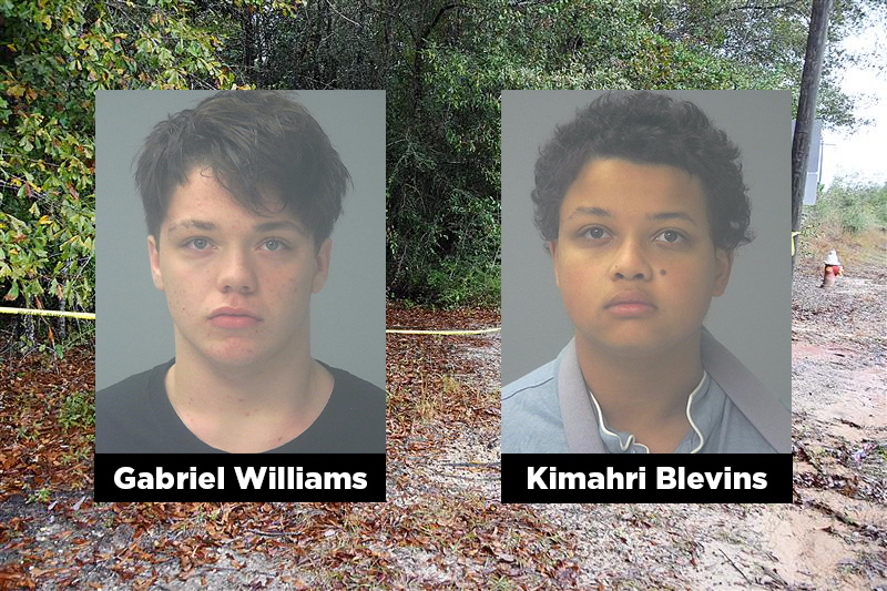 Background details surface on teens accused in Danika Troy killing ...