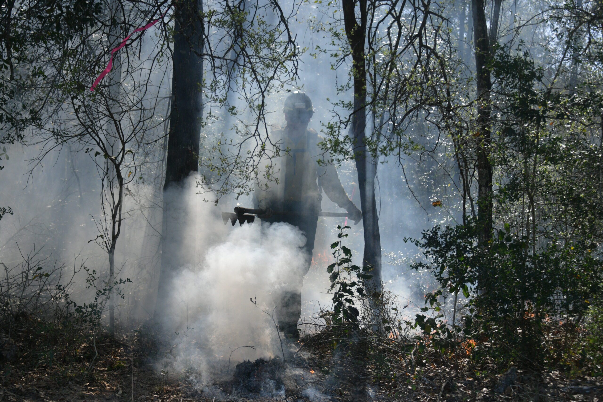 West Florida Fire and Nature Festival highlights role of prescribed burns