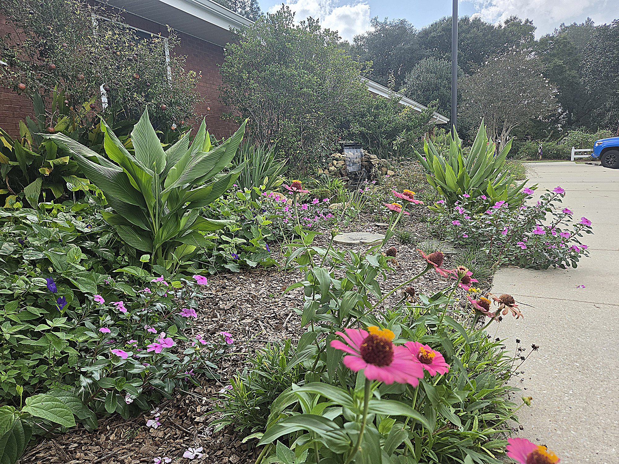 Santa Rosa IFAS Extension agents give fall gardening advice