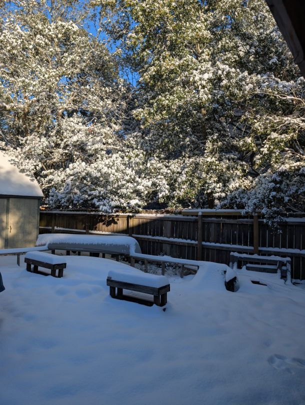 Backyard snow