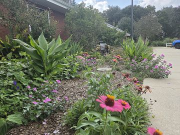 wp-content/uploads/2026/09/Fall-gardening_photo.jpg